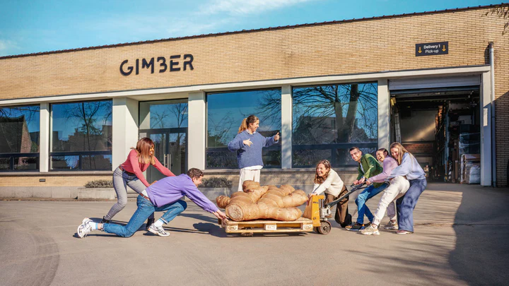 Gimber team